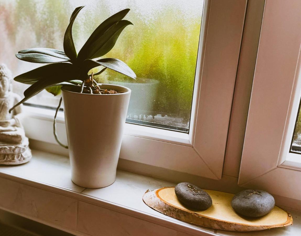 Modernes Appartement Im Gruenen - Stilvoll Und Komfortabel Köln Exteriör bild